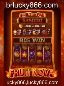 Descubra o Mundo de Aventuras e Recompensas no Jogo FruitNova