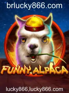 Descubra o Mundo Divertido de FunnyAlpaca: Regras, Desafios e Mais